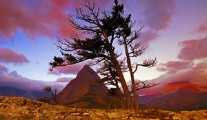 Preview wallpaper mountain, stones, tree, sky, evening, decline