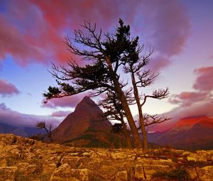 Preview wallpaper mountain, stones, tree, sky, evening, decline