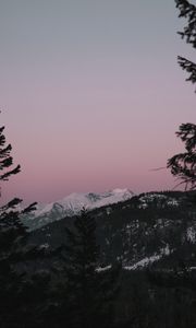 Preview wallpaper mountain, sunset, sky, trees, snowy, peak