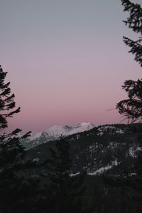 Preview wallpaper mountain, sunset, sky, trees, snowy, peak