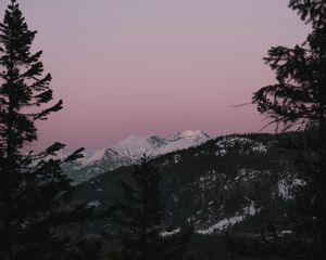 Preview wallpaper mountain, sunset, sky, trees, snowy, peak