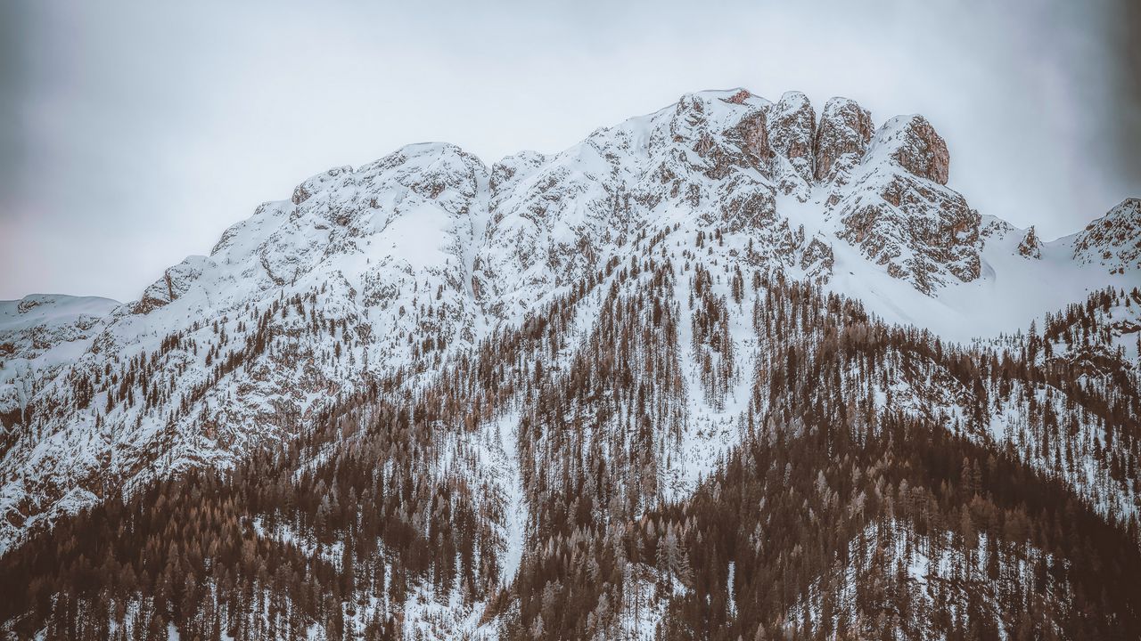 Wallpaper mountain, top, snowbound, trees