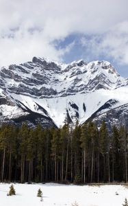 Preview wallpaper mountain, top, trees, snow, sky