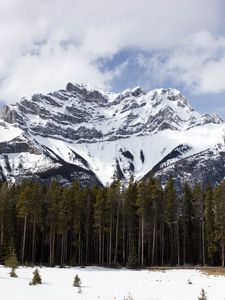 Preview wallpaper mountain, top, trees, snow, sky