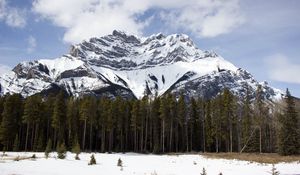 Preview wallpaper mountain, top, trees, snow, sky