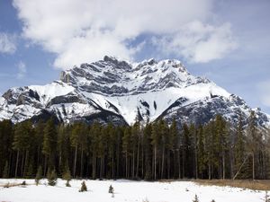 Preview wallpaper mountain, top, trees, snow, sky