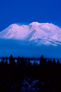 Preview wallpaper mountain, top, volcano, fog, trees, outlines