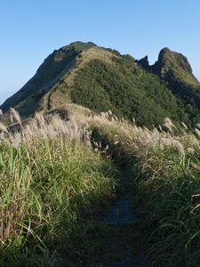 Preview wallpaper mountain, trail, grass, nature