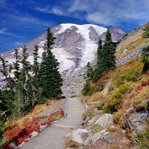 Preview wallpaper mountain, trail, trees, landscape