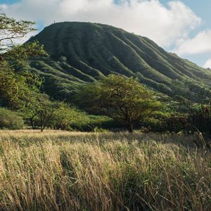 Preview wallpaper mountain, tree, grass, landscape
