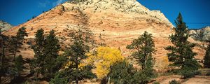 Preview wallpaper mountain, trees, autumn, vegetation, coniferous, day