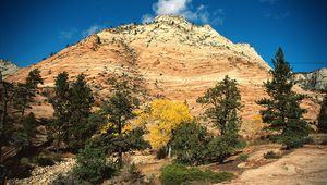 Preview wallpaper mountain, trees, autumn, vegetation, coniferous, day