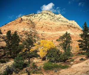 Preview wallpaper mountain, trees, autumn, vegetation, coniferous, day