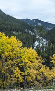 Preview wallpaper mountain, trees, autumn, landscape, yellow