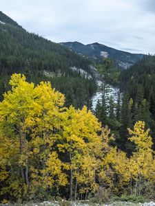 Preview wallpaper mountain, trees, autumn, landscape, yellow