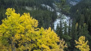 Preview wallpaper mountain, trees, autumn, landscape, yellow