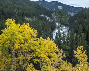 Preview wallpaper mountain, trees, autumn, landscape, yellow