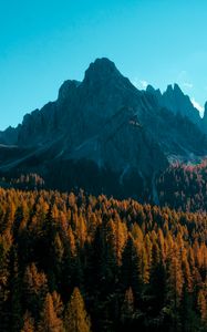 Preview wallpaper mountain, trees, autumn, shadows, aerial view