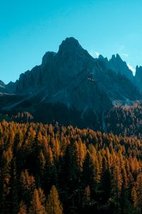 Preview wallpaper mountain, trees, autumn, shadows, aerial view