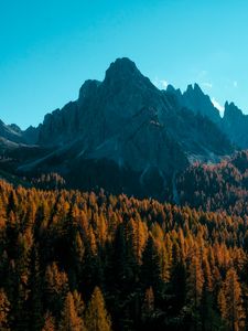 Preview wallpaper mountain, trees, autumn, shadows, aerial view