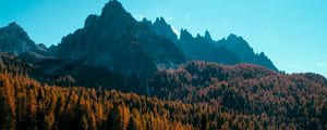 Preview wallpaper mountain, trees, autumn, shadows, aerial view