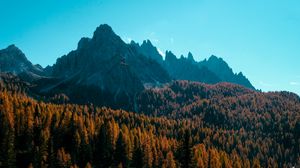 Preview wallpaper mountain, trees, autumn, shadows, aerial view