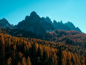 Preview wallpaper mountain, trees, autumn, shadows, aerial view