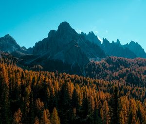 Preview wallpaper mountain, trees, autumn, shadows, aerial view