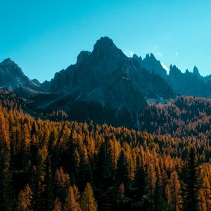 Preview wallpaper mountain, trees, autumn, shadows, aerial view