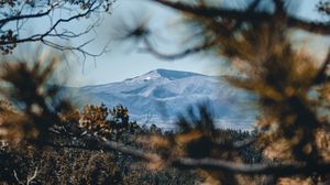 Preview wallpaper mountain, trees, branches, nature