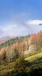 Preview wallpaper mountain, trees, cloud, peak, snow