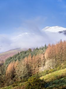 Preview wallpaper mountain, trees, cloud, peak, snow