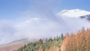 Preview wallpaper mountain, trees, cloud, peak, snow