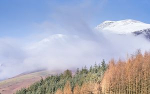 Preview wallpaper mountain, trees, cloud, peak, snow