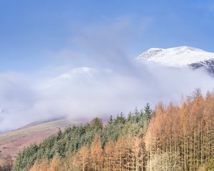 Preview wallpaper mountain, trees, cloud, peak, snow