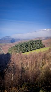 Preview wallpaper mountain, trees, clouds, aerial view, landscape