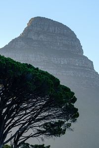 Preview wallpaper mountain, trees, fog, nature