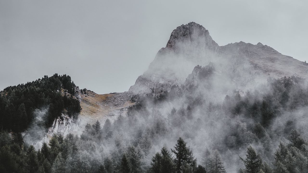 Wallpaper mountain, trees, fog, aerial view, sky, peak