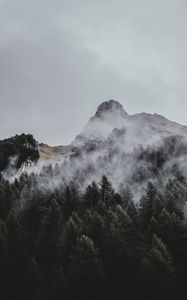 Preview wallpaper mountain, trees, fog, aerial view, sky, peak