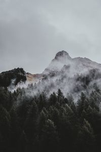 Preview wallpaper mountain, trees, fog, aerial view, sky, peak