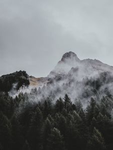 Preview wallpaper mountain, trees, fog, aerial view, sky, peak