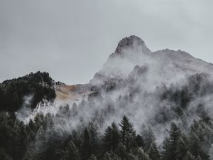 Preview wallpaper mountain, trees, fog, aerial view, sky, peak