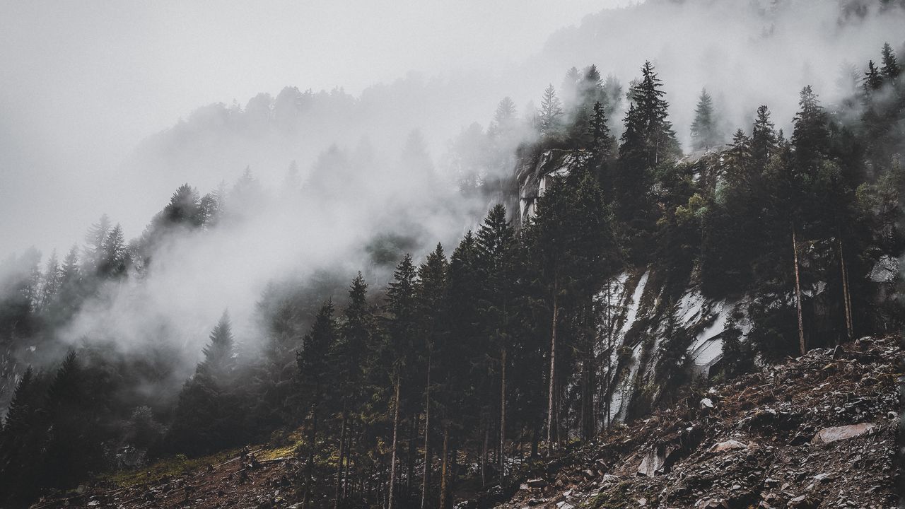 Wallpaper mountain, trees, fog, clouds, slope