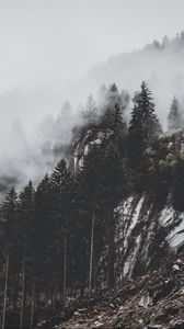 Preview wallpaper mountain, trees, fog, clouds, slope
