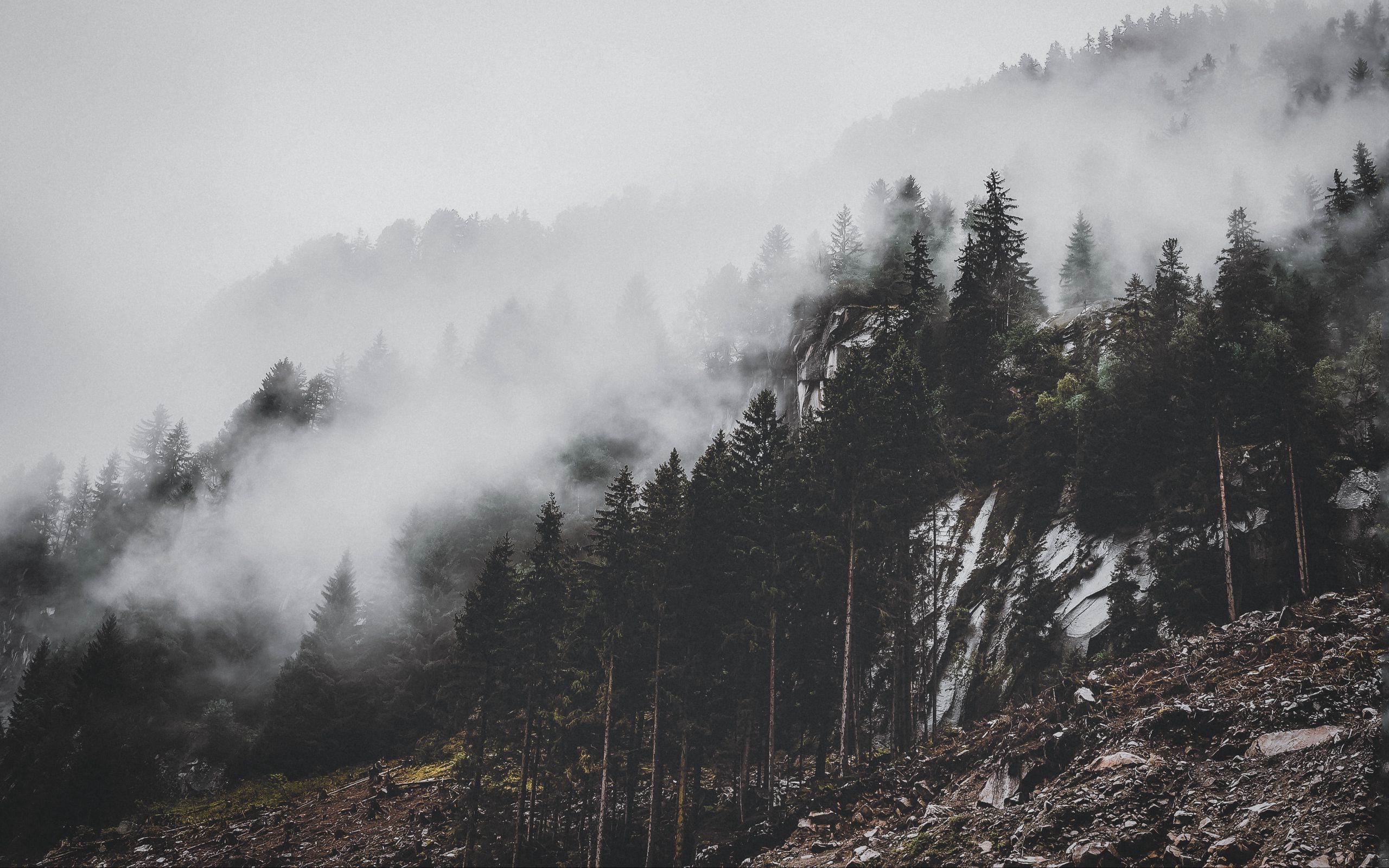 Download Wallpaper 2560x1600 Mountain, Trees, Fog, Clouds, Slope 