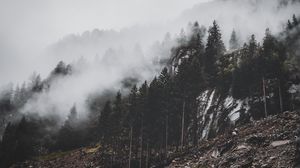 Preview wallpaper mountain, trees, fog, clouds, slope