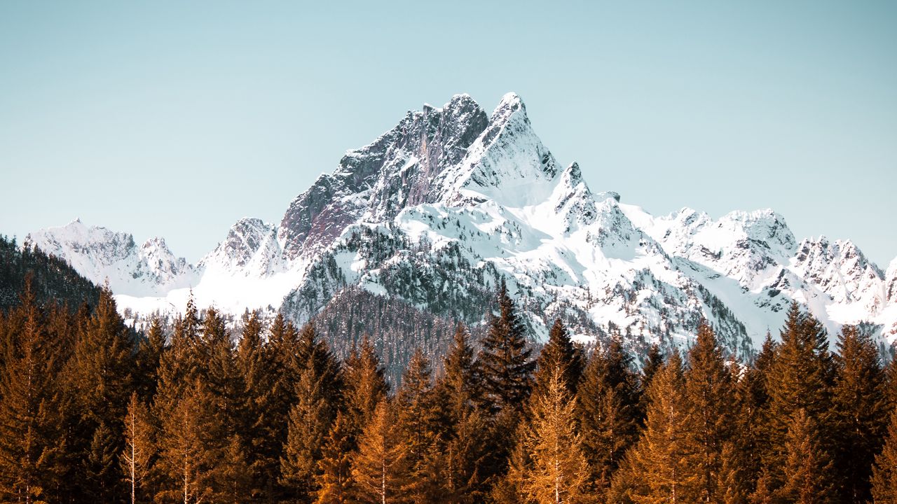 Wallpaper mountain, trees, forest, peak, snowy, cloudless sky