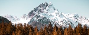 Preview wallpaper mountain, trees, forest, peak, snowy, cloudless sky