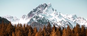 Preview wallpaper mountain, trees, forest, peak, snowy, cloudless sky