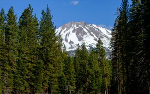 Preview wallpaper mountain, trees, forest, lake, landscape